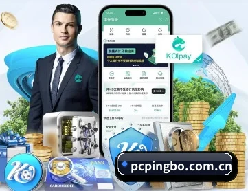 平博体育 APP