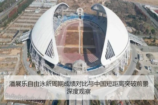 潘展乐自由泳新周期成绩对比与中国短距离突破前景深度观察