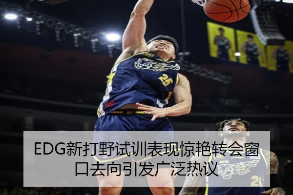 EDG新打野试训表现惊艳转会窗口去向引发广泛热议